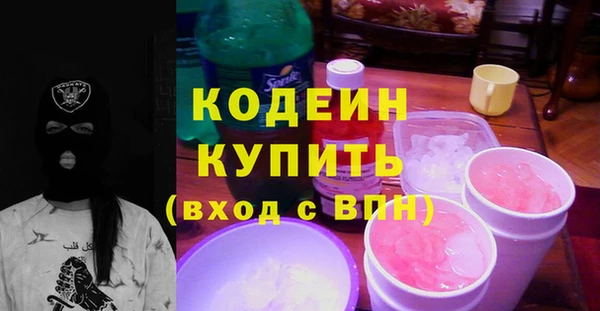 соль ск Ельня