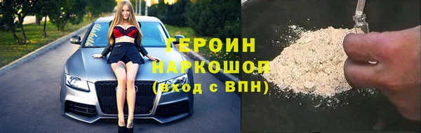 соль ск Ельня