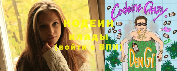 соль ск Ельня