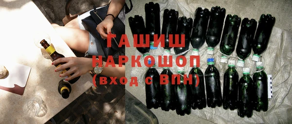 соль ск Ельня