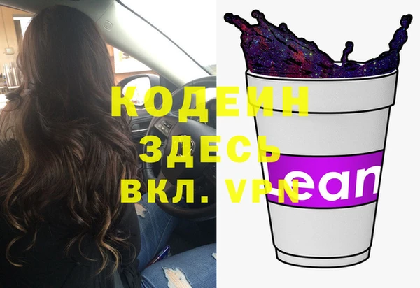 соль ск Ельня